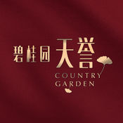什么茶叶