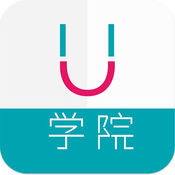 茶叶教程